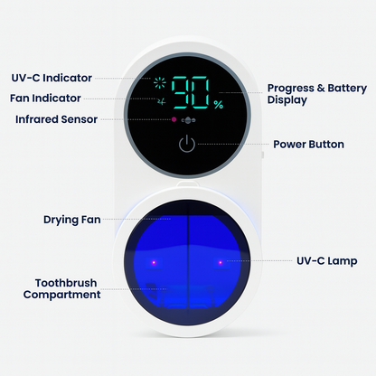 Sleek Toothbrush Sterilizer